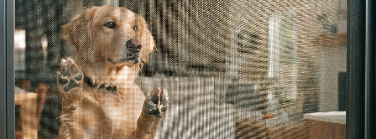 Zanzariere per Animali domestici